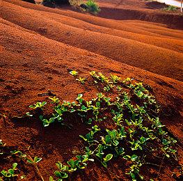 城市建设游戏《城市规划大师》 将于7月13日发售